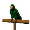 parrot.gif